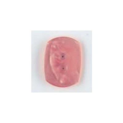 BOTON DILL 15 mm231578